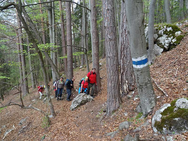 Steinwandklamm